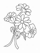 Flowers Coloring Pages Large Print Color sketch template