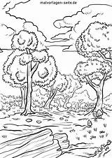 Wald Ausmalbild Malvorlage Ausmalen Waldtiere Bos Ausdrucken Laubwald Kinderbilder Grafik Großformat Fuchs sketch template