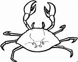 Krebs Pintar Cangrejos Cangrejo Caranguejo Animais Oben Siri Crabs Ausmalbild Caranguejos Malvorlagen Marinos Peruano Postado Verkleinert Angezeigt Baixarada Qdb sketch template
