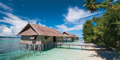 Kri Eco Resort Raja Ampat Reviews And Specials Bluewater