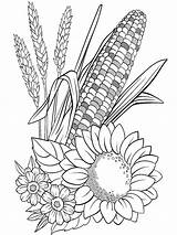 Coloring Pages Plants Printable sketch template