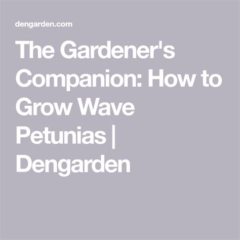 gardeners companion   grow wave petunias wave petunias