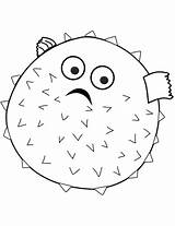 Coloring Blowfish Fish Pages Printable Categories Porcupine sketch template