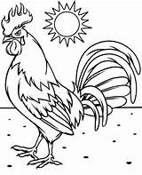 Rooster Topcoloringpages Backyard sketch template