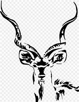 Kudu Antelope Dog Greater Hunting Baboon Clipart sketch template