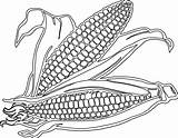 Corn Clipart Coloring Pages Field Cartoon Drawing Cob Printable Stalk Clip Transparent Getdrawings Clipartix Maize Color Getcolorings Library Clipground Webstockreview sketch template