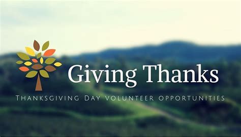 5 volunteer opportunities during thanksgiving season in