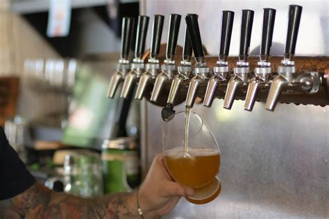 draft beer  guide  building  maintaining draft beer systems