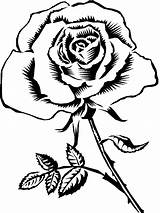 Rose Line Drawing Cliparts Coloring Pages Attribution Forget Link Don Roses sketch template