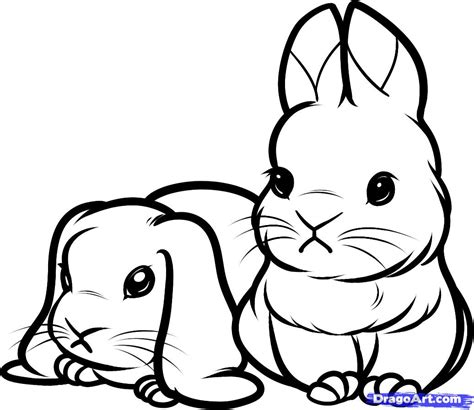 cute rabbit drawing  getdrawings