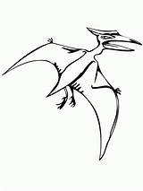Pteranodon Coloring Flying Reptile Dinosaurs Drawing Popular Getdrawings Clipartmag Library Clipart Utilising Button Print Sketch Coloringhome Outline sketch template