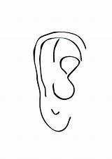 Ear Coloring Pages Normal Kids Pdf Drawing Color Clipartmag sketch template