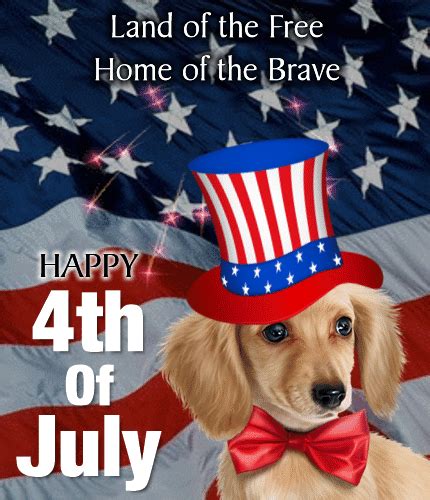 cute   july ecard    happy fourth  july ecards