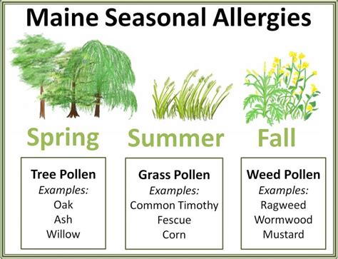pollen allergy symptoms   homeopathic treatment