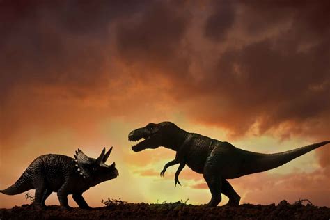 dinosaur battle tyrannosaurus rex  stegosaurus dinosaurs fight  rex