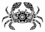 Crab Zentangle Progettazione Granchio Disegnato Ecc Camicia Tatuaggio Cangrejo Bonny Ornated Zodiaco Tattooimages sketch template