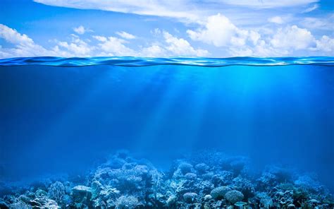 blauen hintergrundbilder mit korallen riff unterwasserwelt meer fische