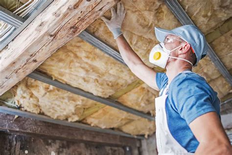 pros  cons  basement ceiling insulation