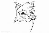 Warrior Cats Coloring Pages Head Printable Kids Adults Print sketch template