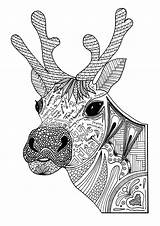 Coloring Christmas Adult Reindeer Pages Adults Printable Color Pdf Zen Sheets Deer Animal Kids Pokemon A5 sketch template