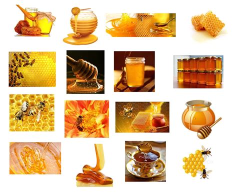 honey foac global trading ventures