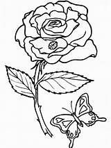 Coloring Pages Printable Rose Roses Kids Color Flower Print Flowers Sheets Book Coloriage Imprimer Printables Adult Garden sketch template