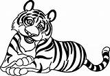Tiger Coloring Wecoloringpage sketch template