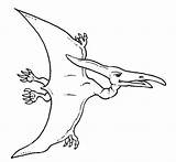 Pteranodon Draw Dinosaurier Dinosaure Dinosaurios Malvorlage Malvorlagen Dinosaurio Dinosaurs Ohbq Coloringsun Zeichnung Linienzüge Schule Geburtstags Basteln sketch template