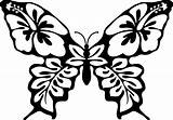 Motyle Kolorowania Motyl Druku Kolorowanka Artystyczny sketch template