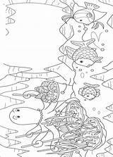 Kleurplaat Regenbogenfisch Mooiste Kleurplaten Ausmalbilder Zee Colorat Inktvis Arcobaleno Ciel Coloriages Coloriage Peixe Iris Colorir Arcoiris Pez Fisch Ausmalbild Imprimir sketch template