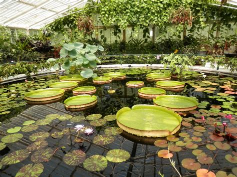 royal botanic gardens  kew   list