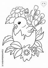 Uccelli Portalebambini Pulcini Stampa sketch template