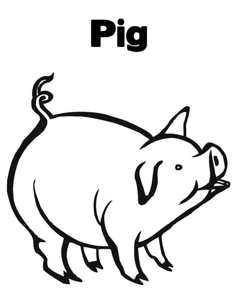 printable pig coloring pages  kids pig images pinterest