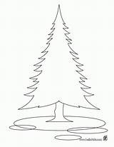Coloring Pine Tree Pages Library Popular Clipart Coloringhome sketch template