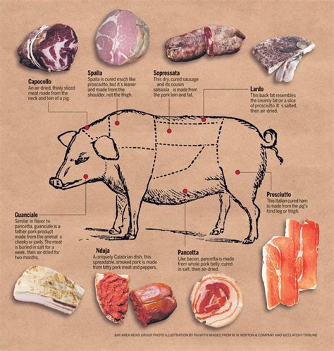 images  meat notes  pinterest venison charts