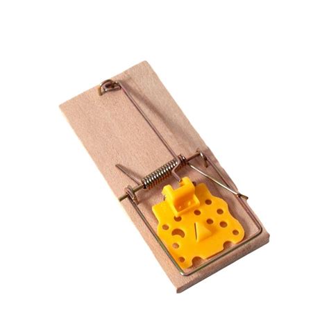 orange muizenval hout met kunst kaas  stuks blokker