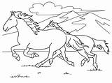Coloring Galloping Horse Pages Getcolorings Horses Printable sketch template