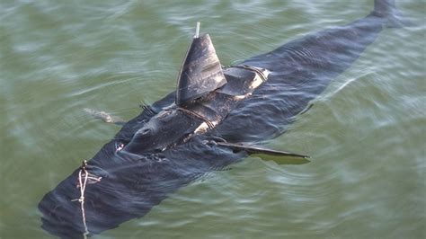 navy drone shark     gathering underwater intelligence  weather channel