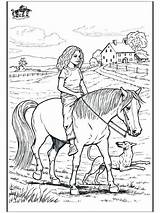 Horseback Horses Sketch sketch template