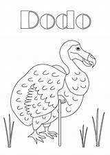 Dodo Netart Designlooter sketch template
