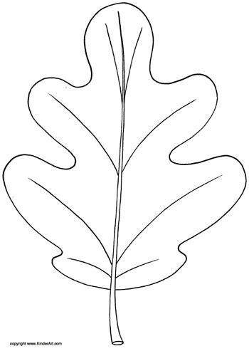 oak leaf coloring page kinderart