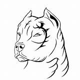 Tattoo Drawing Dog Pitbull Vicious Tribal Coloring Template Getdrawings Sketch sketch template