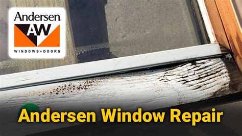 anderson window replacement sashes window replacement bellevue wa renewal  andersen