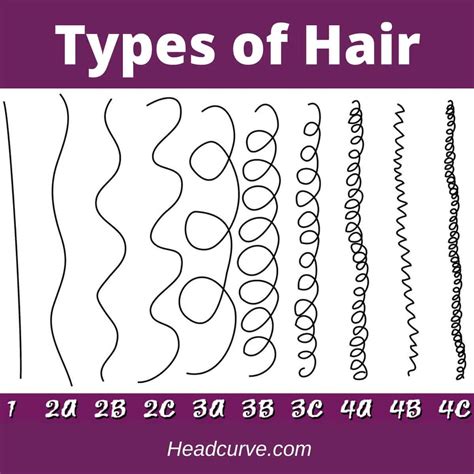 types  womens hair