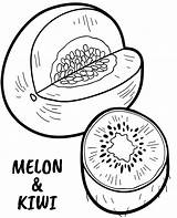 Kiwi Kolorowanka Melon Owoce Kolorowanki Topcoloringpages sketch template