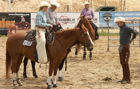images rider rein stallion cowboy mare riders rodeo western riding equestrianism