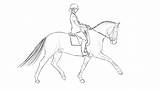 Dressage Horse Ausmalbilder Dressur Pferde sketch template