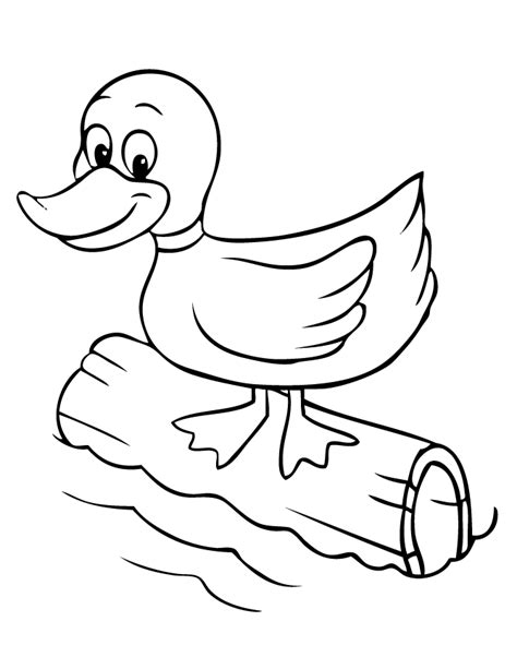 duckling coloring pages   duckling coloring pages png