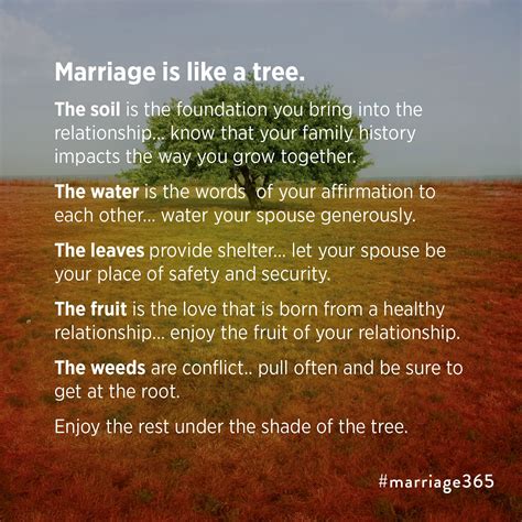 marriage is like a tree marriage advice