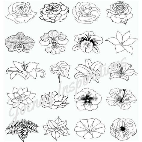 pin  fancy flowers book  pages